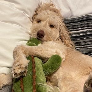 Meet your posher, Brett